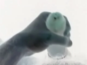 Tocandome rato-2013-07-20-02-20-39